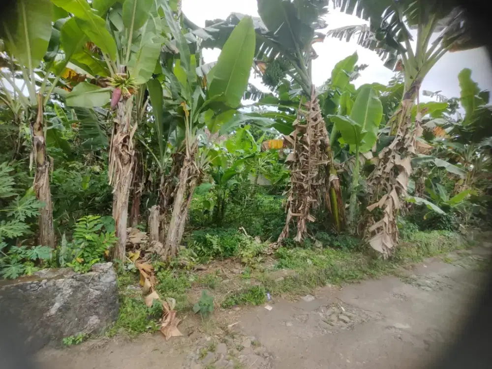 Rumah perumahan bandung