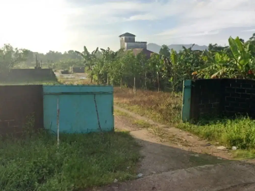 Jual Cepat Lahan 5.9Ha Bonus Bangunan Sarang Walet,  Rumah,