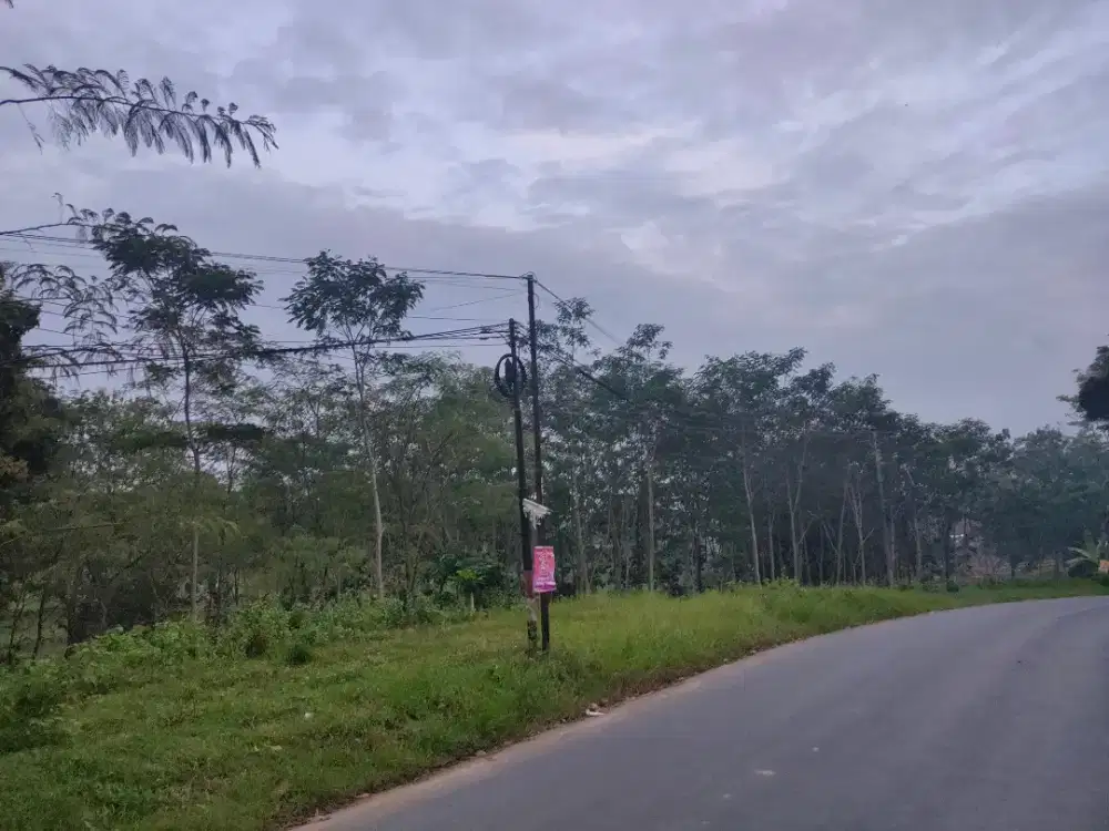 Tanah Strategis Lokasi Berkembang Untuk Investasi dan Usaha