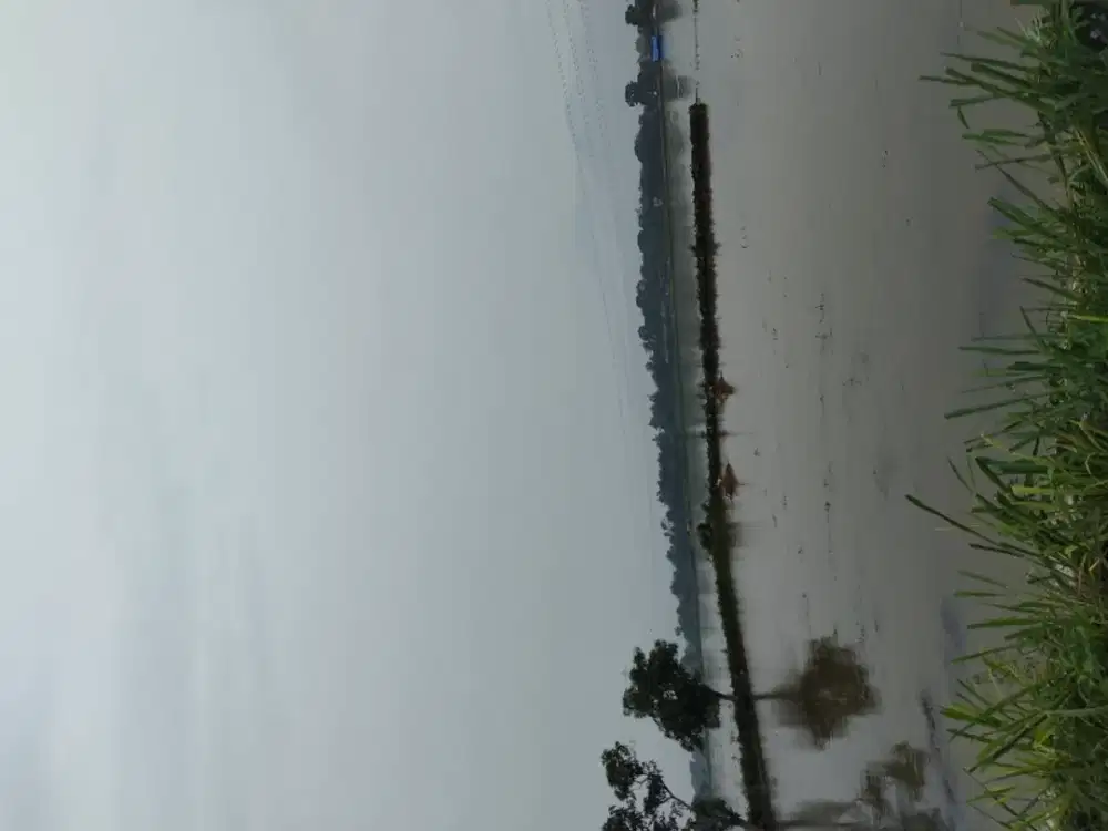 TANAH LUAS CIKONENG BOJONGSOANG UNTUK DIBANGUN PERUMAHAN