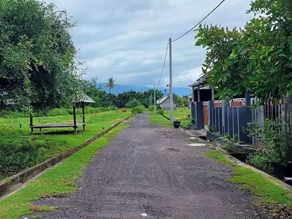 AMS-008.SH | Tanah Kavling Perumahan di Celukan Bawang – Gerokgak, Singaraja