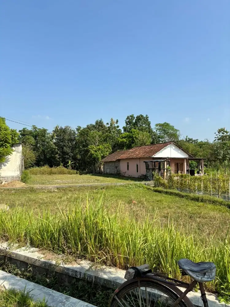 Dijual tanah sawah