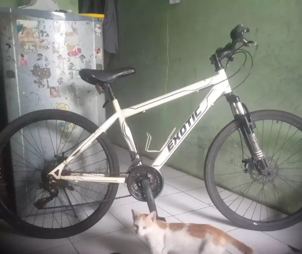 Sepeda gunung exotic UK 26