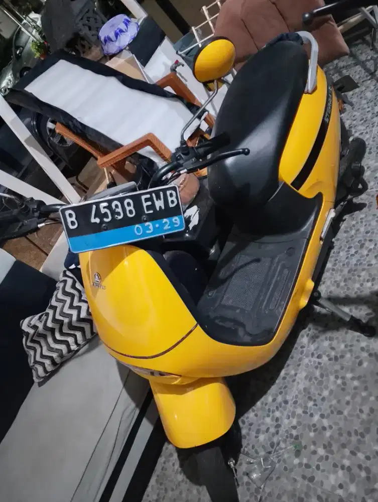 MOLIS EXOTIC STERRATO