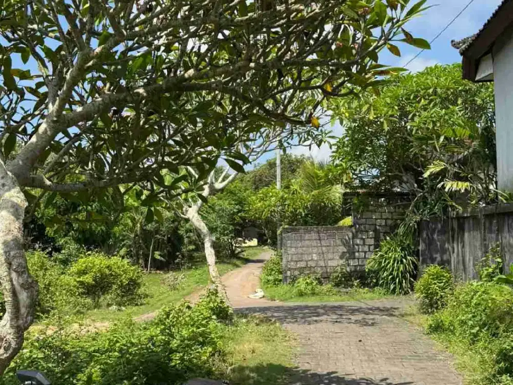 Tanah murah dekat Nirmala Ungasan 1000m2 idr 5,750 JT/m2