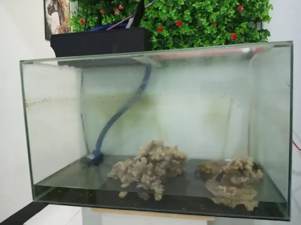 Aquarium bekas obral