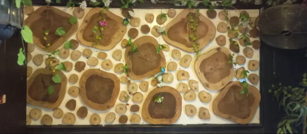 Pajangan dinding berkayu-kayu 239x4x123 cm