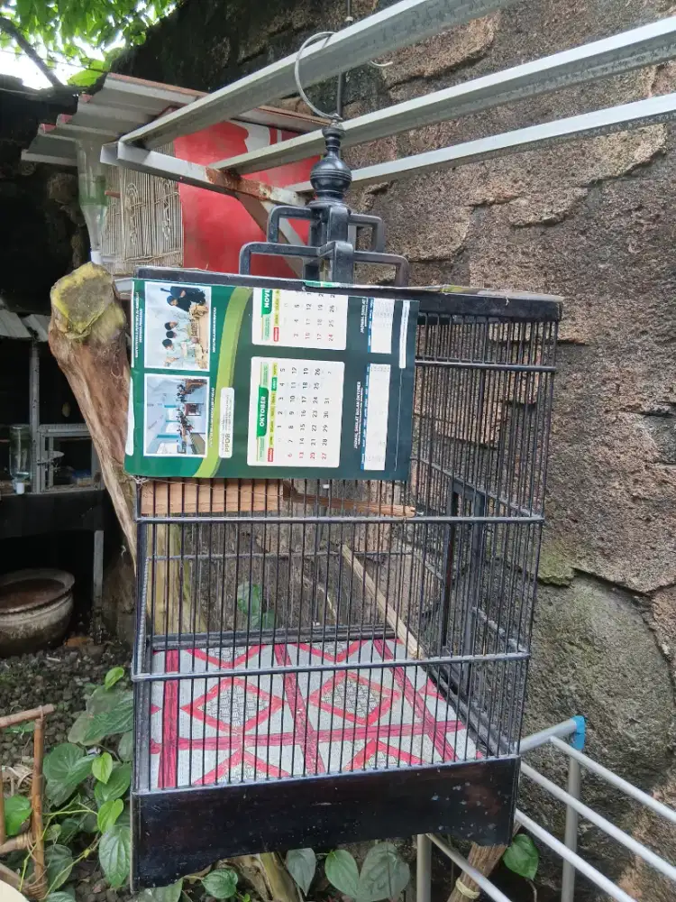 sangkar 40x45 bekas ternak kenari cik mulus. cocok buat burung besar.