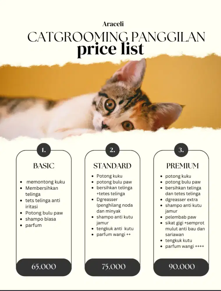 GROOMING KUCING PANGGILAN DAN PETHOTEL