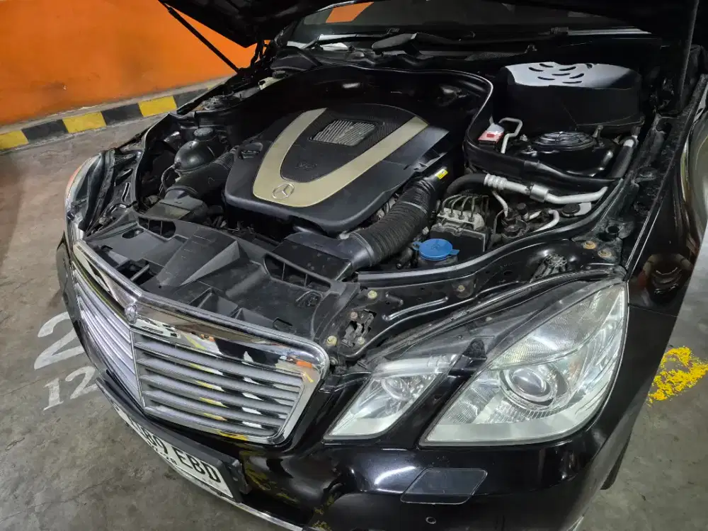 Mercedes benz avangard