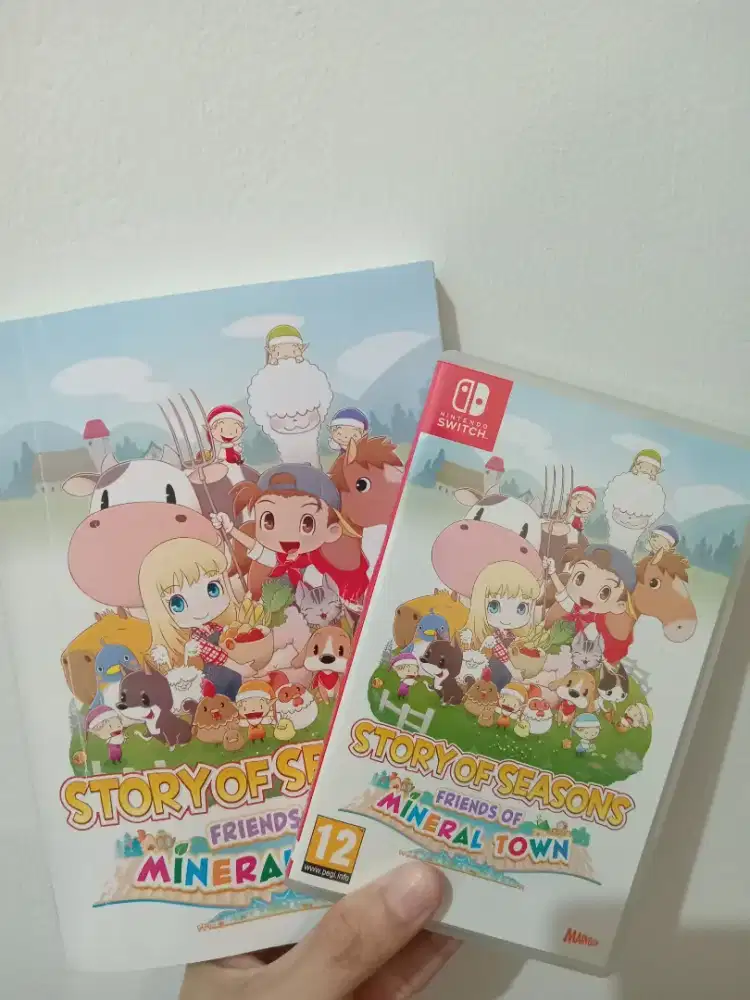Story of season Mineral town Nintendo switch