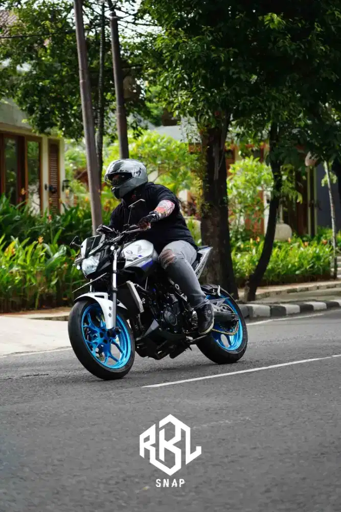 Mt25 2017 silver mulus