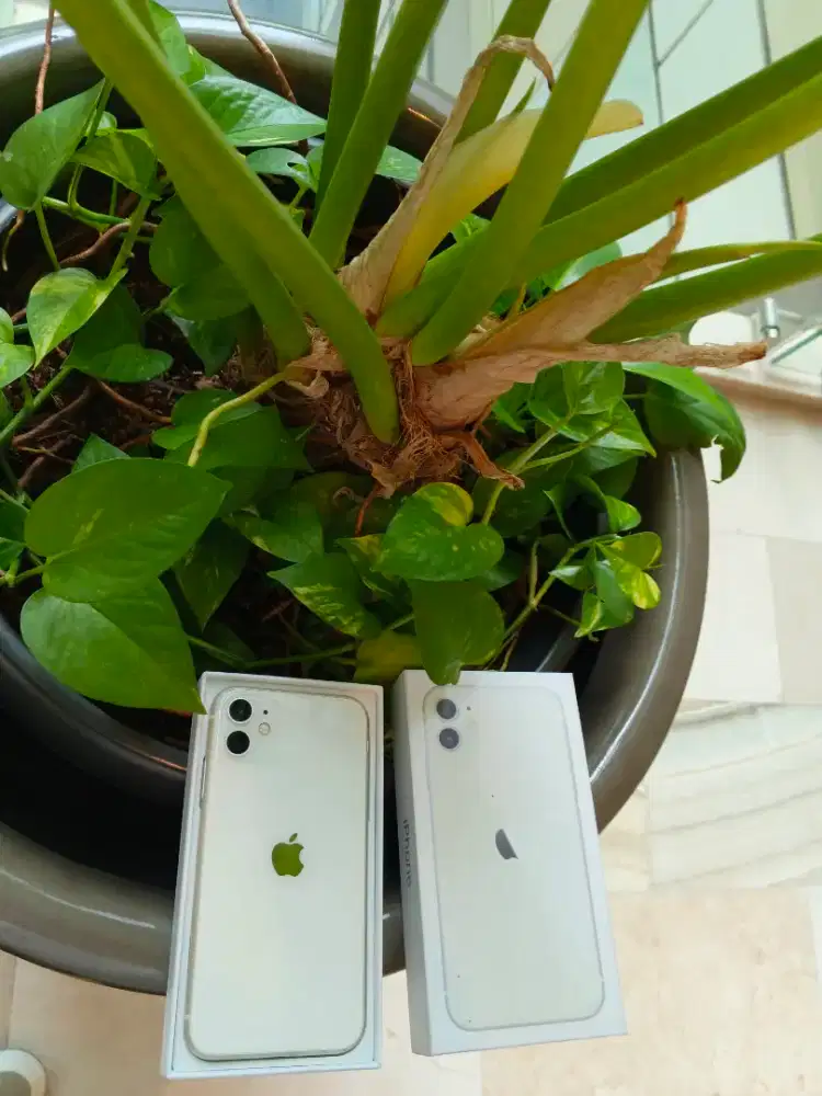 Iphone 11 128gb sub apple putih