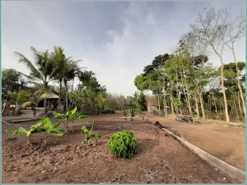 KAVLING MURAH SERTIFIKAT SHM YOGYAKARTA DEKAT TUGU JOGJA