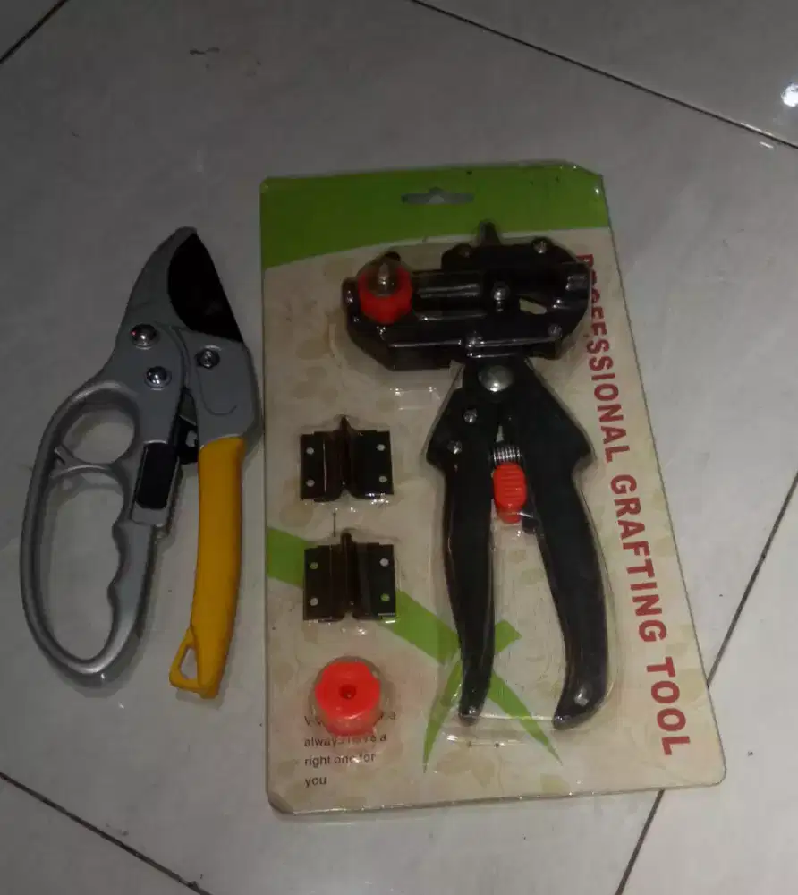 Gunting tanaman bonsai