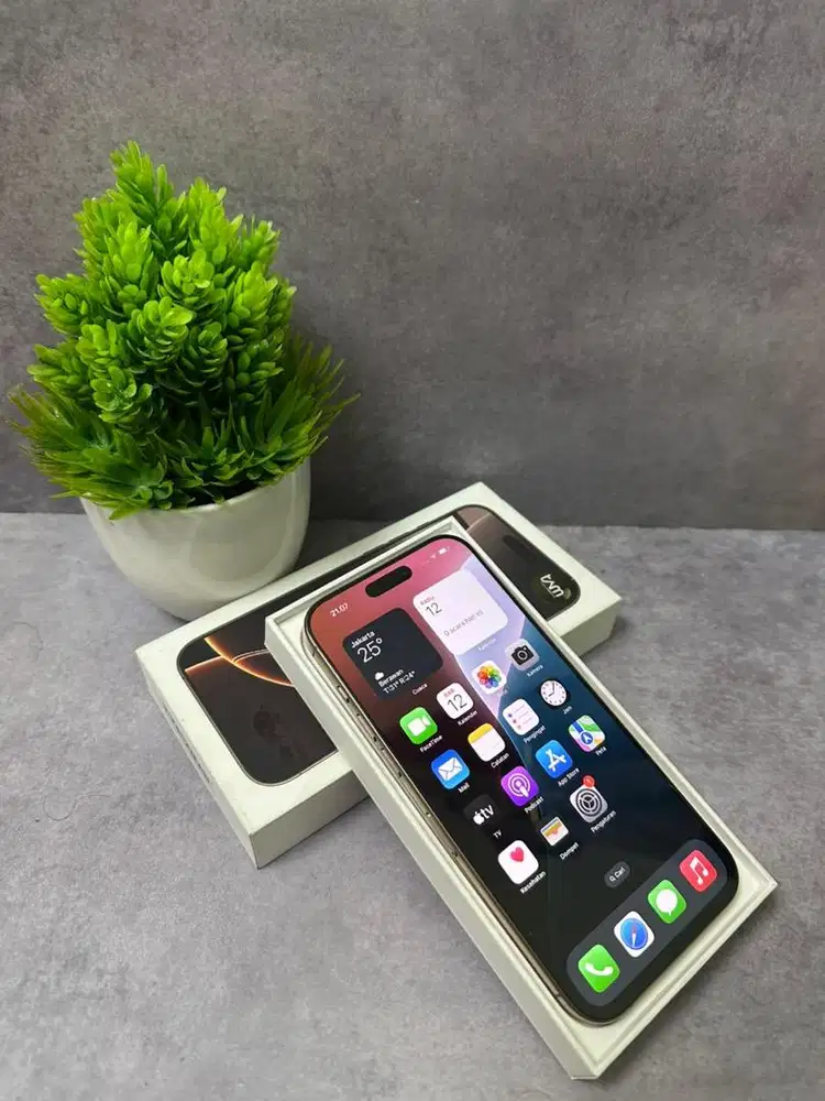 Iphone 16 Promax 256GB Ibox garansi on