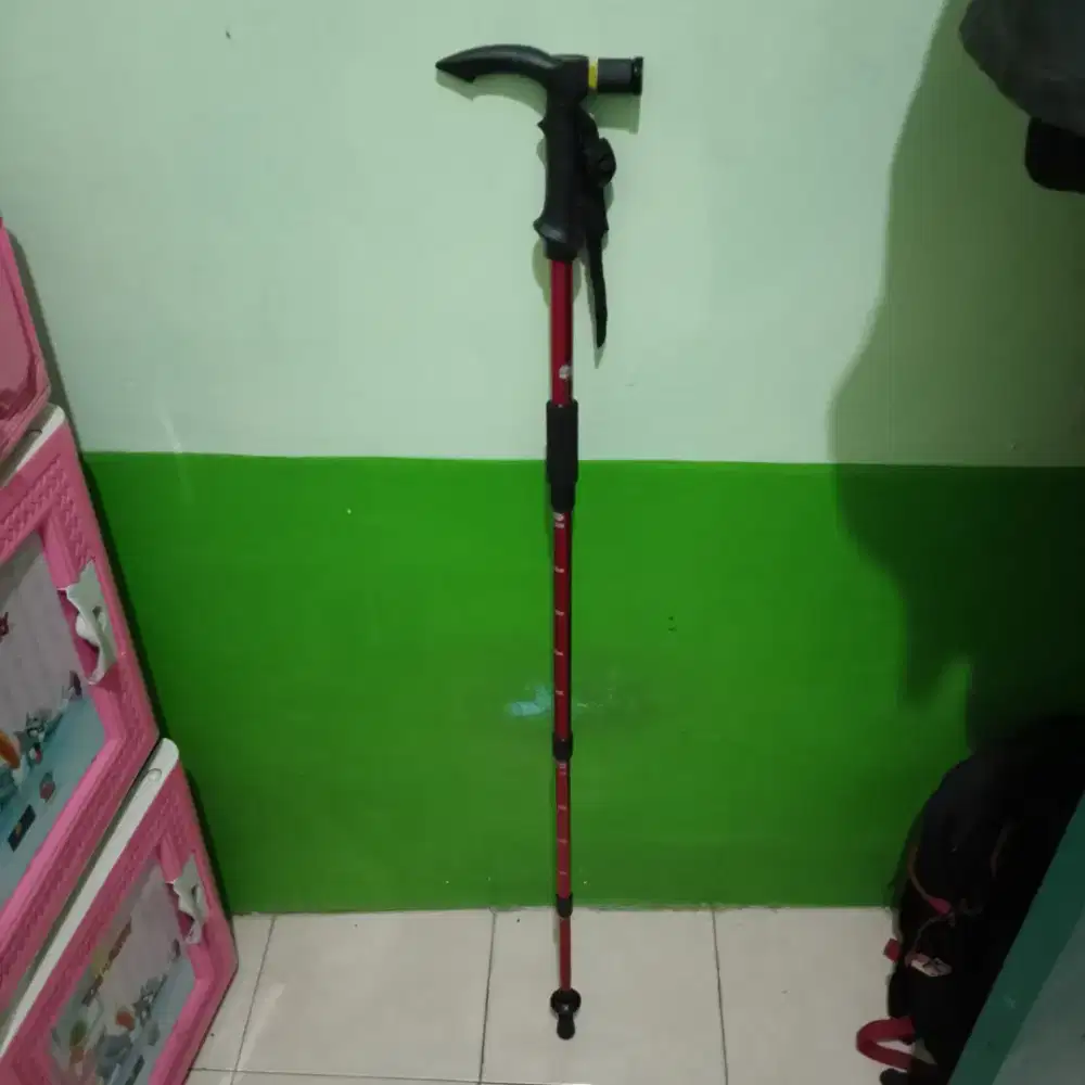 Trekking Pole Arei X Hightrack