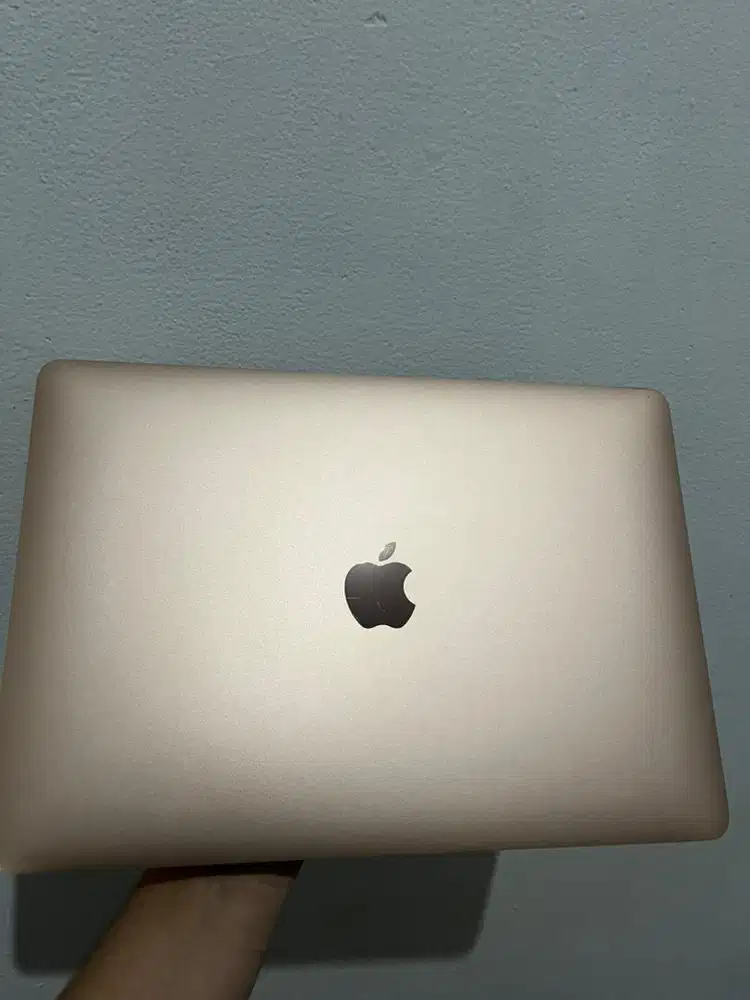 (Nego tipis) Macbook Air 2020 M1 8/256 Rose Gold