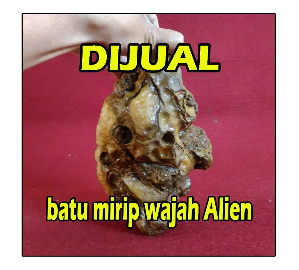 Batu mirip wajah alien