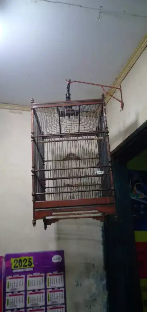 Sangkar Kotak No 2 Istimewa full set