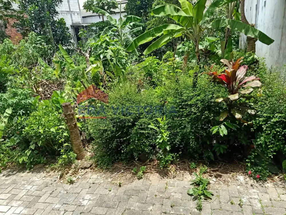 Tanah Jual Lowokwaru Dekat Mal Dinoyo Cocok untuk Dibangun Kos-kosan