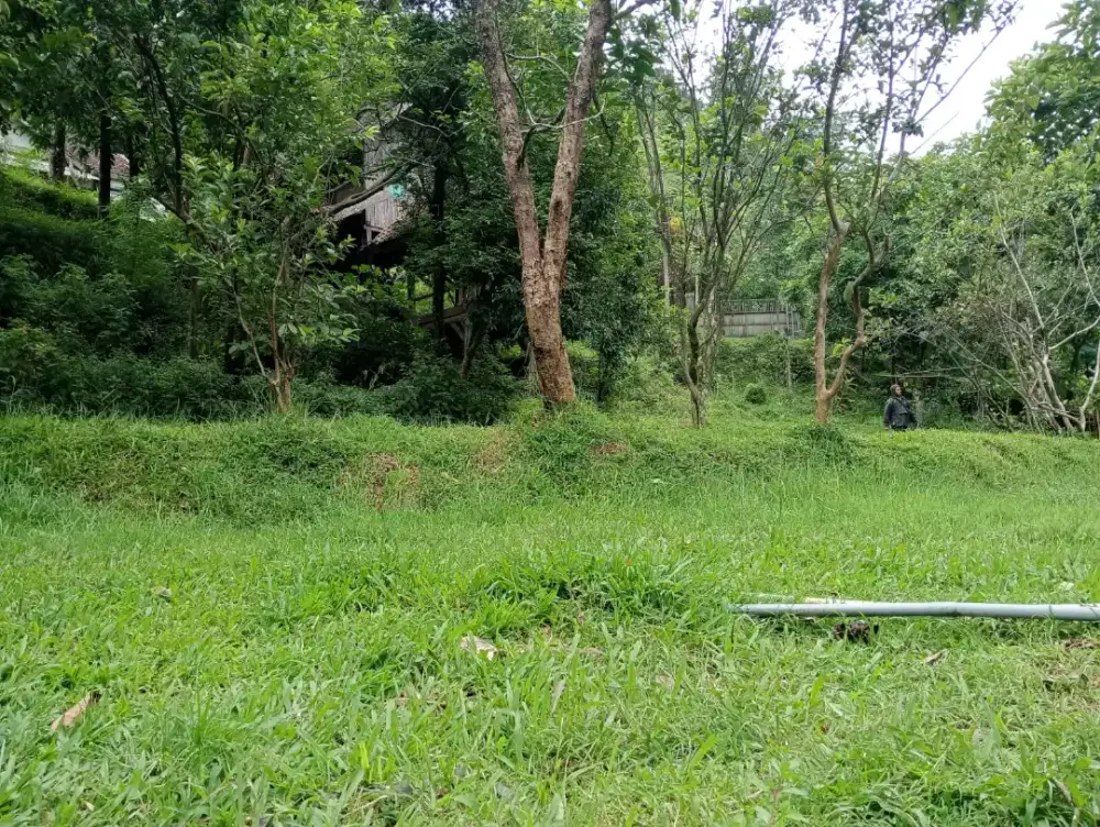 Jual Tanah Pinggir jalan desa area Ciwidey cocok buat villa