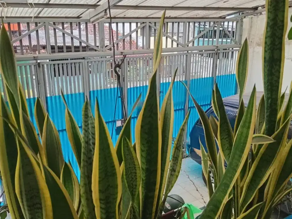 Rumah Strategis Murah Sekali di Pusat Kota Bandung dekat Mall Paskal 23