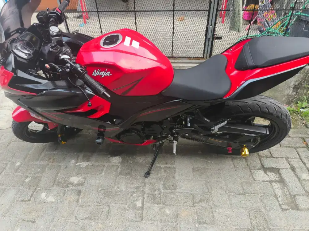 Kawasaki warrior 2019