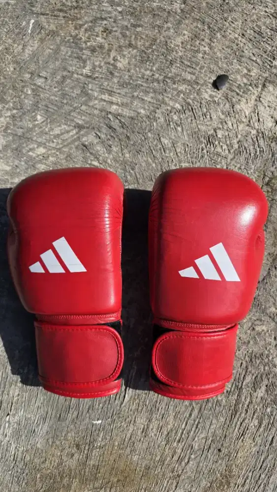 sarung tinju adidas aiba