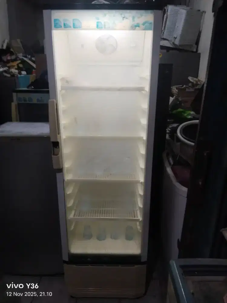 Di jual cepat showcase like now politron