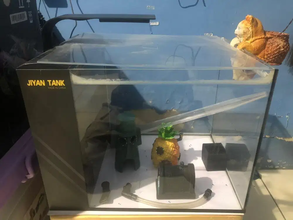 Aquarium Akuarium mini