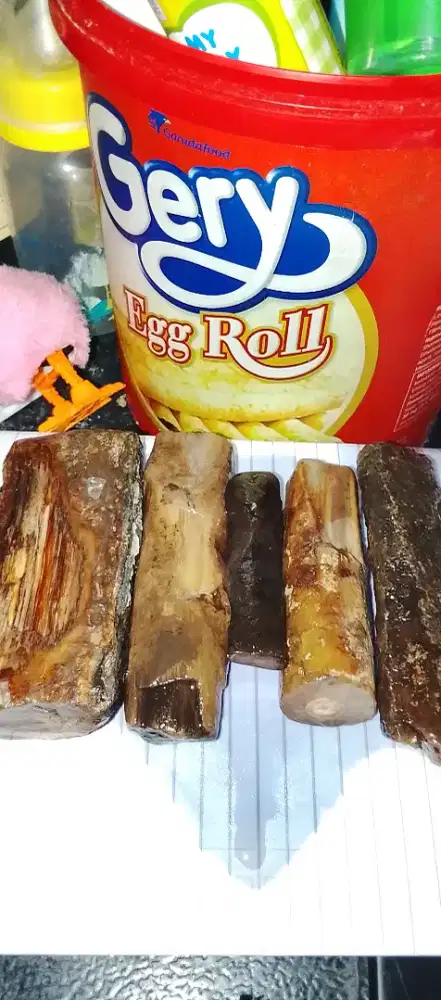 NATURAL BAHAN X MAYA BANTEN SEMPUR BULE MUMER AJA Rp 150 SIAP OLAH