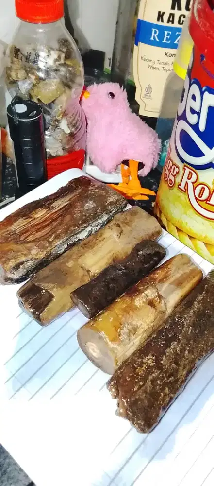 NATURAL BAHAN X MAYA BANTEN SEMPUR BULE MUMER AJA Rp 150 SIAP OLAH