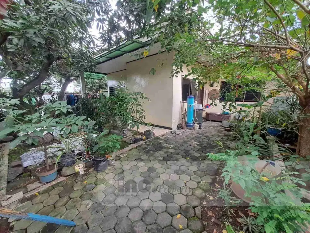 Dijual Cepat Rumah Mainroad Batununggal Buah Batu Bandung.
Masih ada tanah kosong 147 m² bisa di bangun ruko, kostan cocok buat investasi.