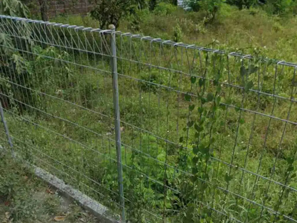 Tanah Wedomartani Ngemplak