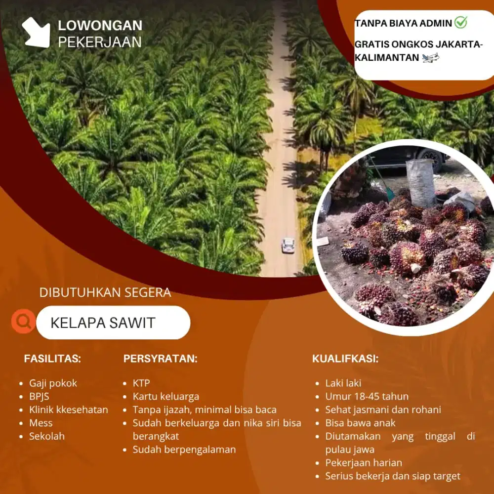 Loker perkebunan kelapa sawit