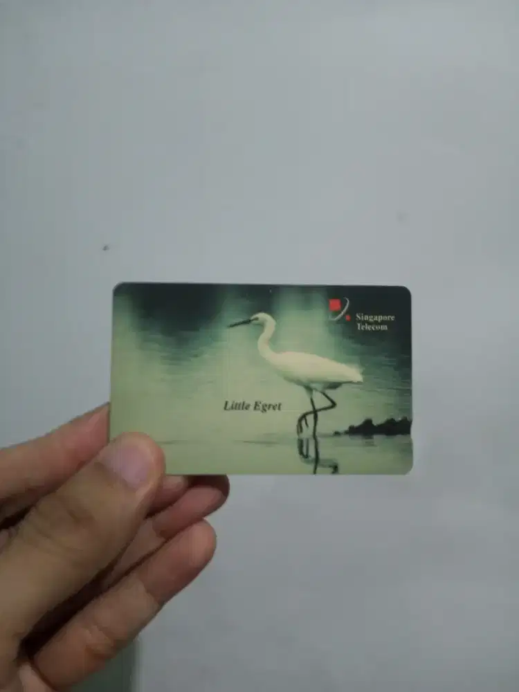 Kartu Telepon Edisi Hewan