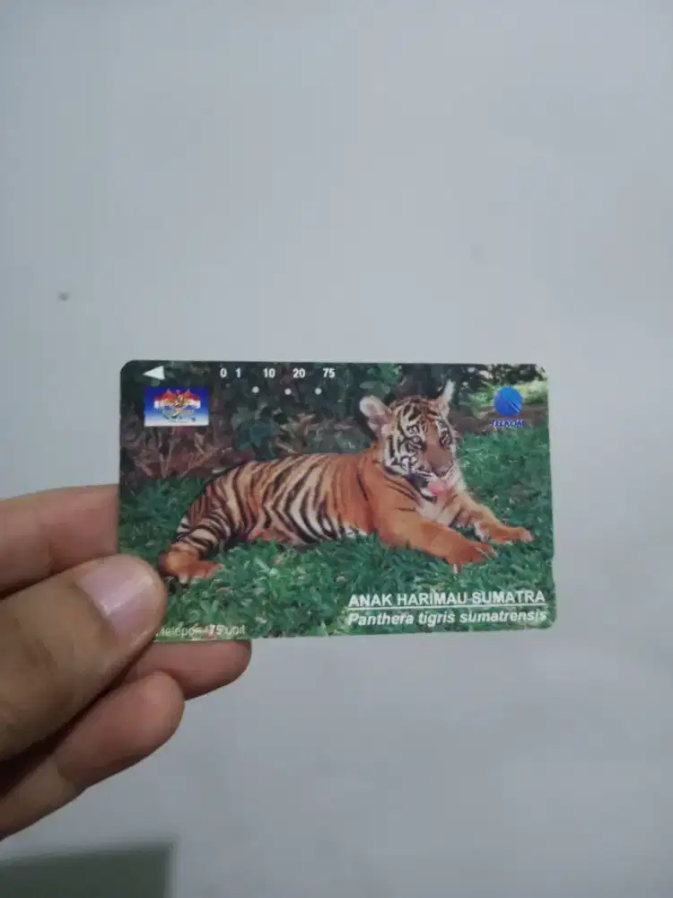 Kartu Telepon Edisi Hewan