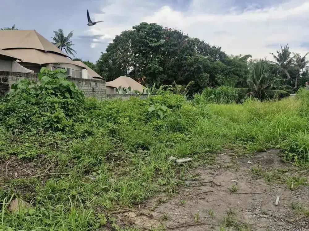 Dijual Tanah 12 Are Loss Sungai Ubud