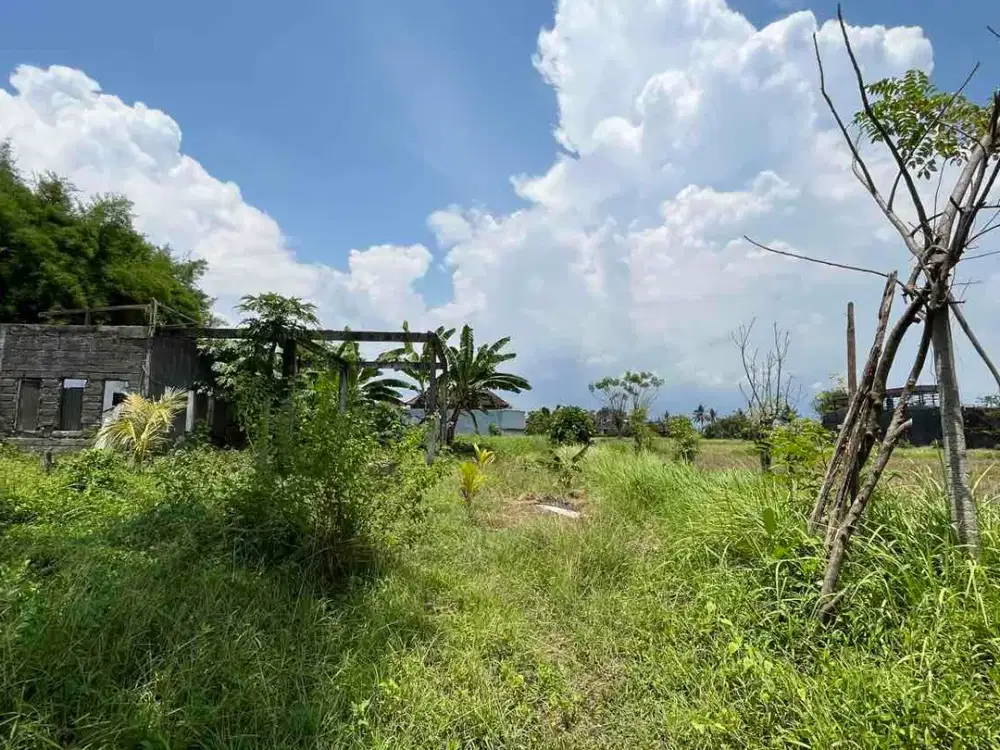 Disewakan Tanah 12.9 Are Ubud