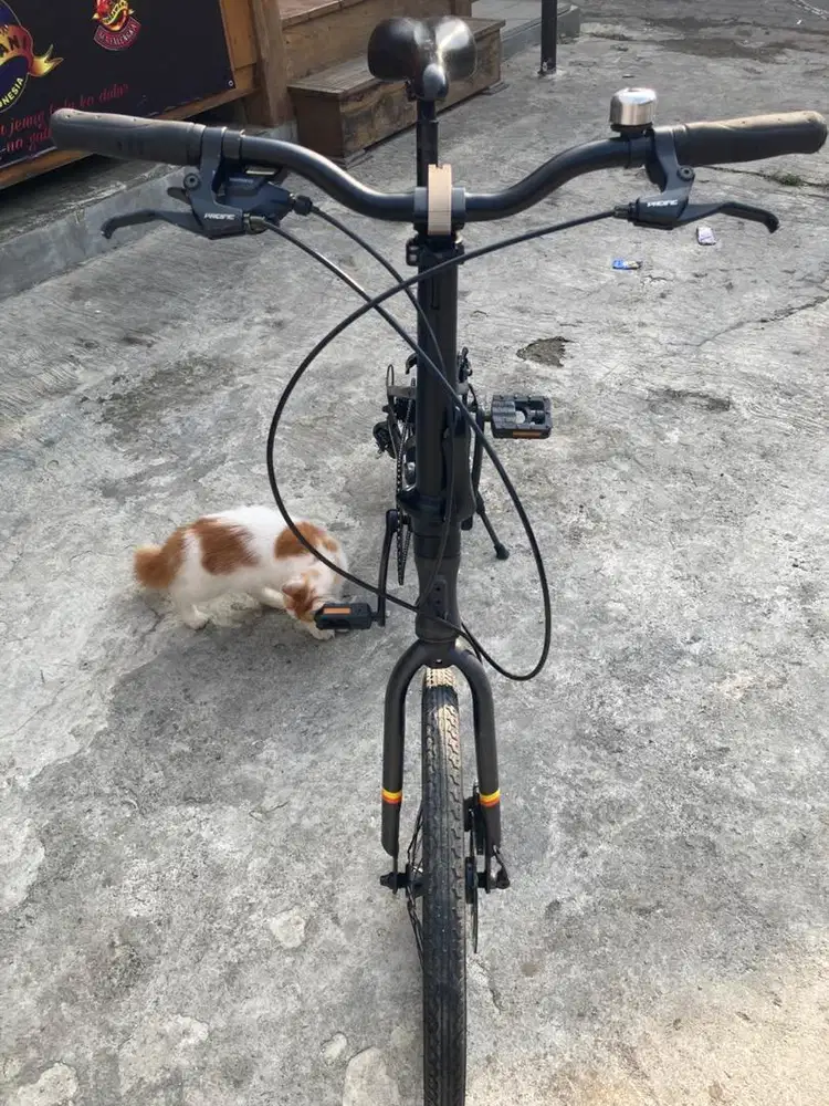 PACIFIC SPLENDID 5.0