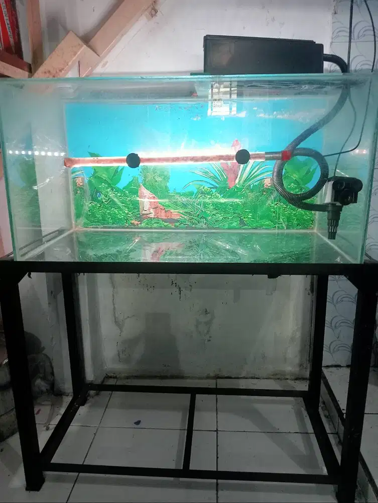 Akuarium, meja filter, dan lampu