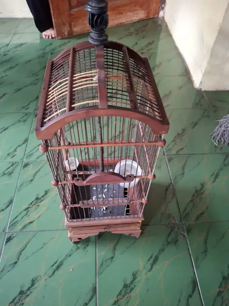 Kandang burung kecil