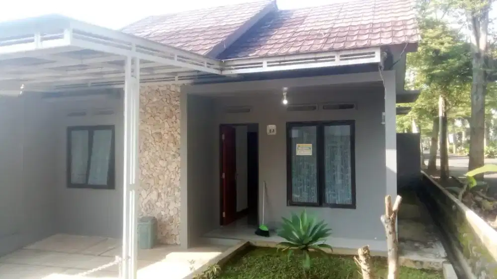 Disewakan/Dijual Rumah Asri