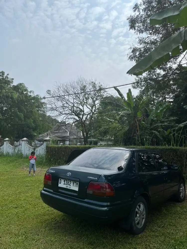 All new corolla 1998