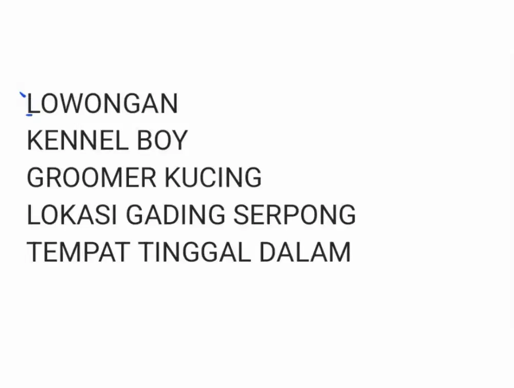 Lowongan groomer dan kennel boy kucing