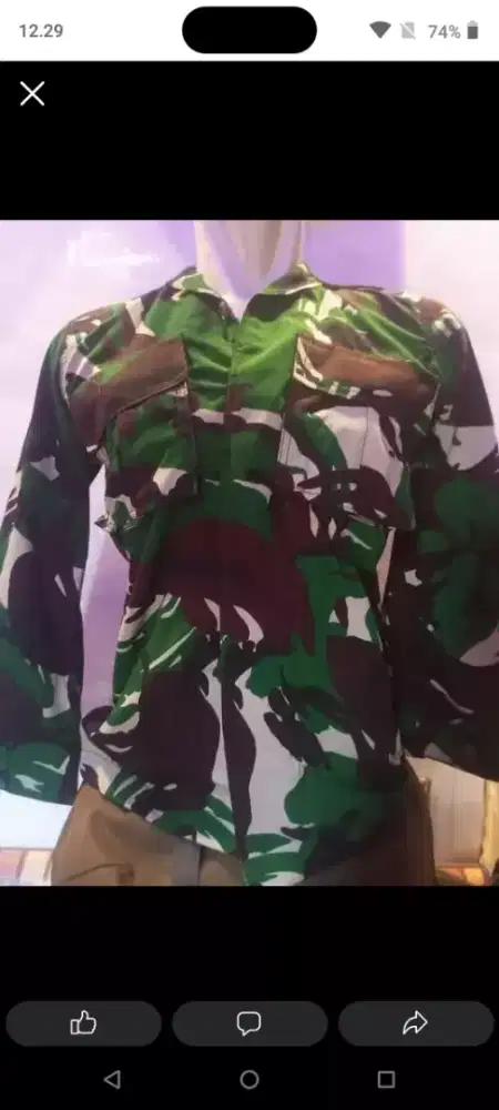 Pdl malvinea lengkap