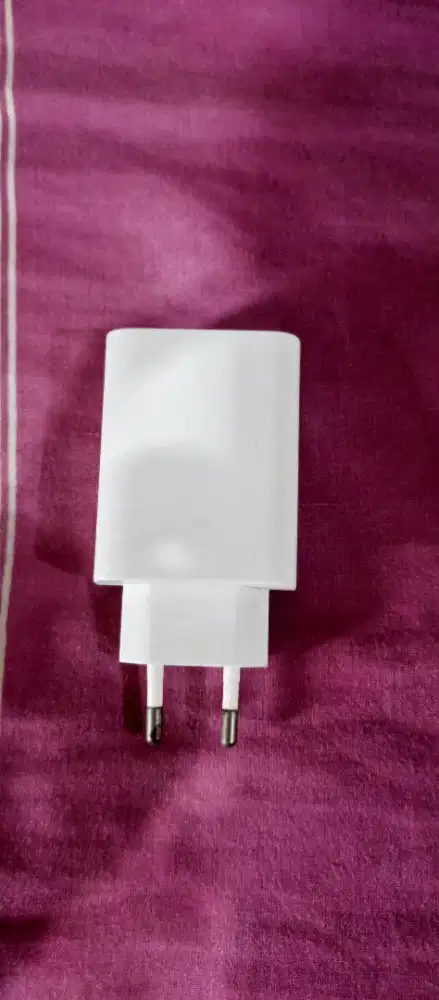 Charger Casan Vivo Original 1000%