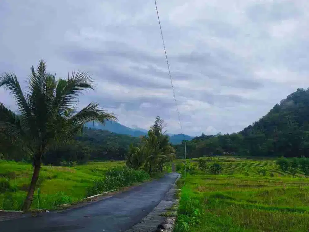 JUAL TANAH DI PENDOWOREJO GIRIMULYO KULONPROGO VIEW SAWAH DAN PEGUNUNGAN
