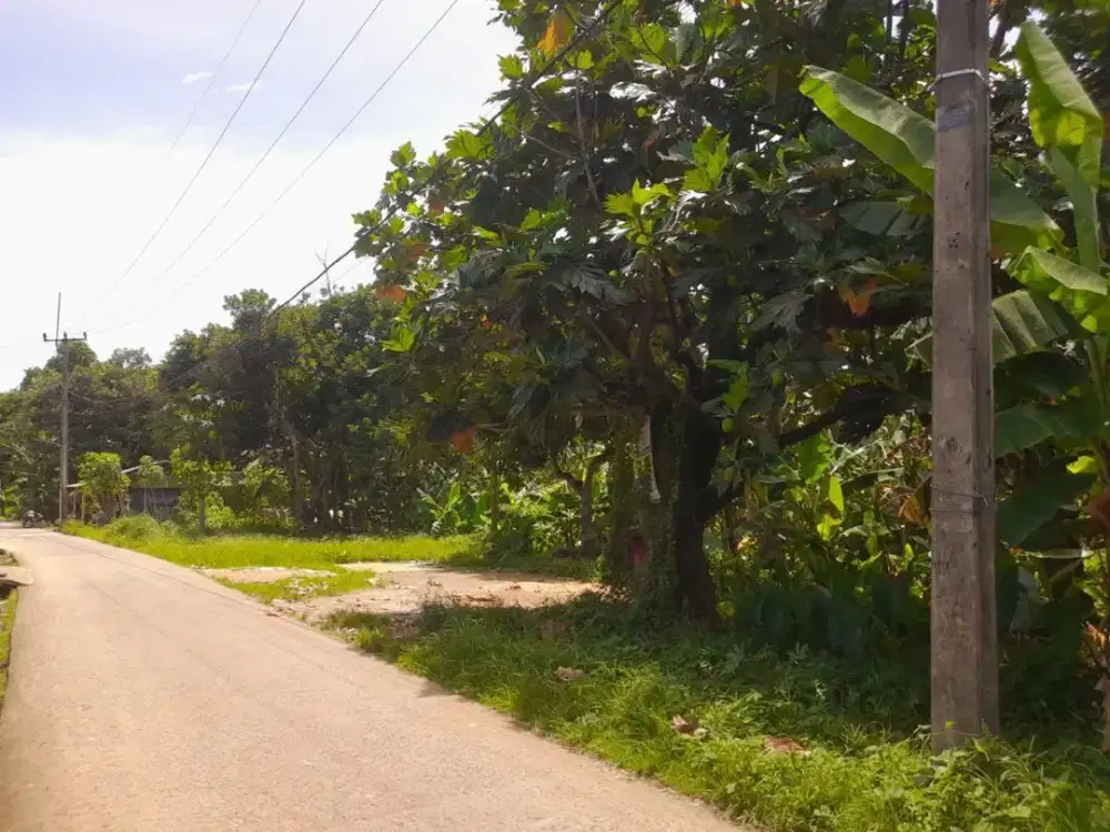 DIJUAL CEPAT TANAH LUAS DI BOGOR DEKAT GUNUNG SINDUR COCOK UNTUK PABRIK